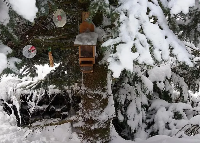 Re-kreation Appartement